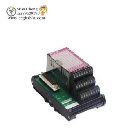 Foxboro P0916AA I/A Series Control Module