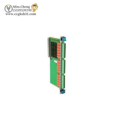 VIBRO VM600 Custom Processing Module